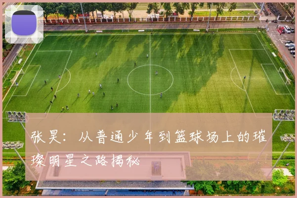 张昊：从普通少年到篮球场上的璀璨明星之路揭秘