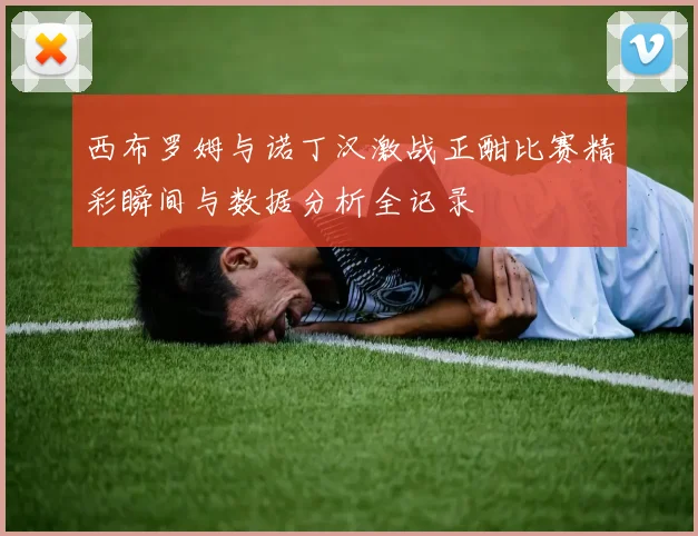 西布罗姆与诺丁汉激战正酣比赛精彩瞬间与数据分析全记录