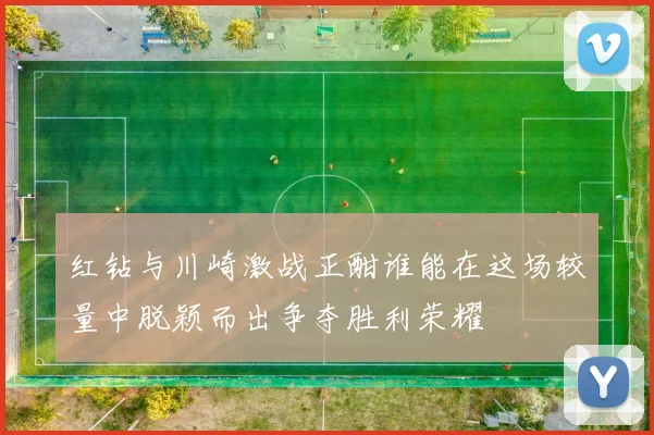 红钻与川崎激战正酣谁能在这场较量中脱颖而出争夺胜利荣耀