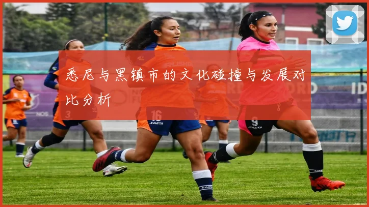 悉尼与黑镇市的文化碰撞与发展对比分析
